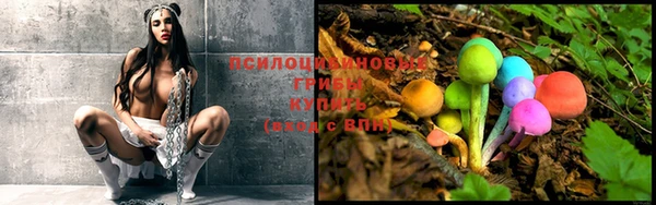 мет Михайлов