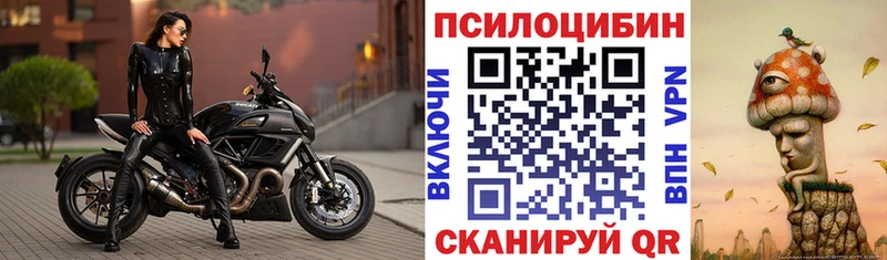 Псилоцибиновые грибы Psilocybe  Купить  Пестово 