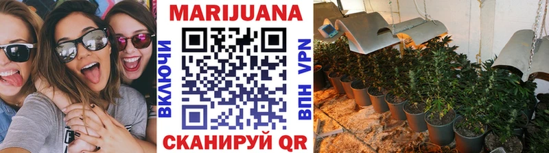 Купить  Пестово  Бошки Шишки план 